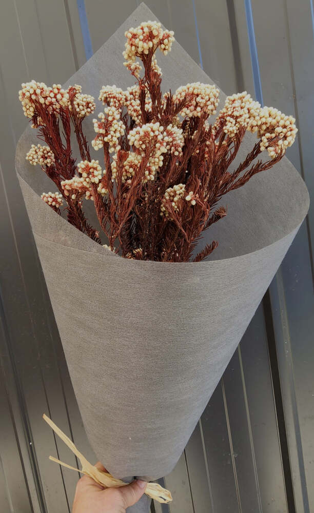 Dried Flower Bunches | Coastal Flora | Caloundra Florist
