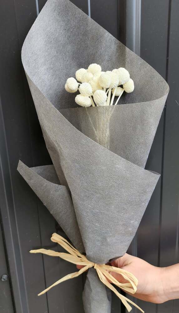 Dried Flower Bouquets | Coastal Flora | Sunshine Coast