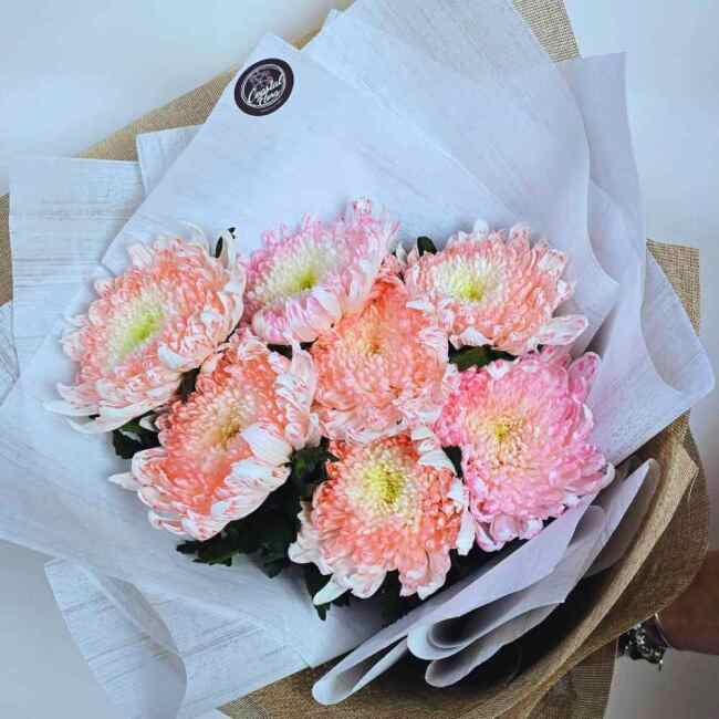 Pink Magnum Disbud Chrysanthemum Bouquet Sunshine Coast | Coastal Flora