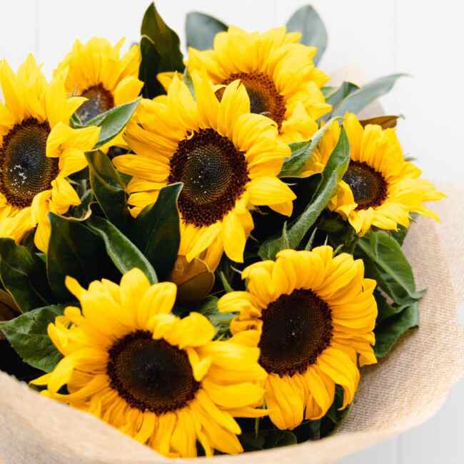Flower Arrangement Sunshine Coast | Sunflower Bouquet | Coastal Flora | Sunshine Coast Flowers