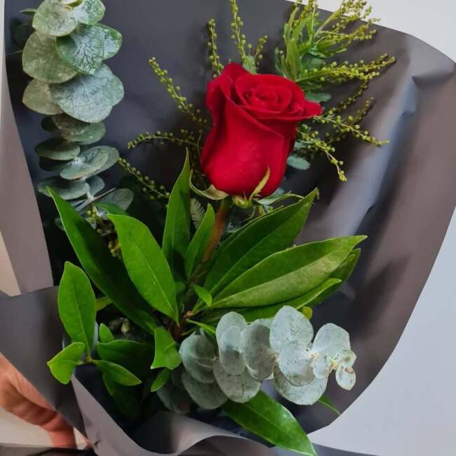 Red Rose Sunshine Coast | Single Long Stem Rose | Coastal Flora | Sunshine Coast Florist
