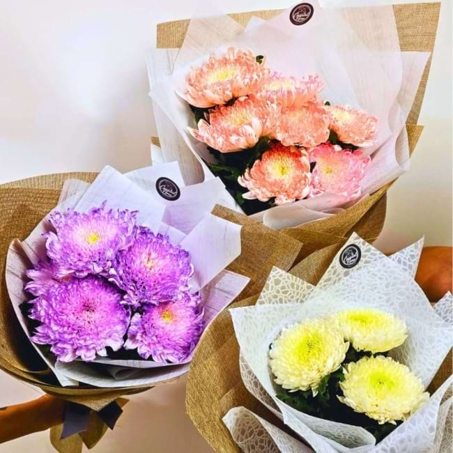 Magnum Disbuds Chrysanthemum Bouquets | Caloundra Florist