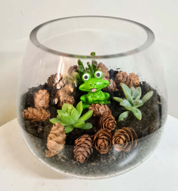 Indoor Plants Transform will your home or office