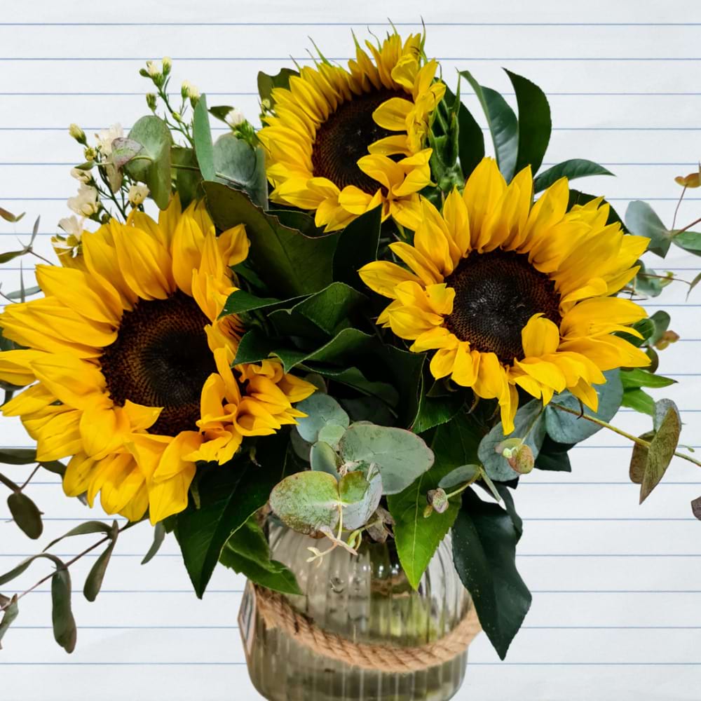 Sunflowers Arrangement in a Vase | Sunshine Coast Same Day Delivery | Coastal Flora | Local Florist