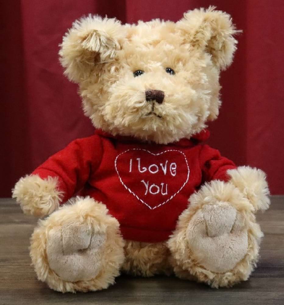 I Love You Timmy Teddy Bear | Valentines Day Gift | Sunshine Coast Valentines Day Gifts & Flowers
