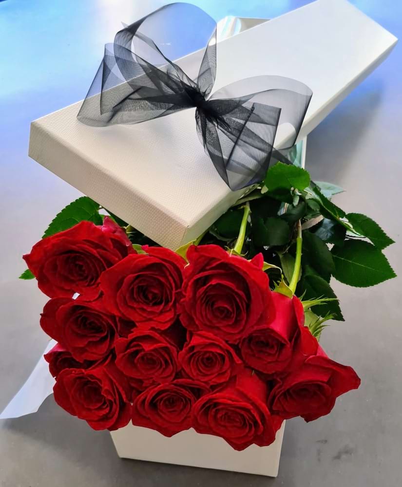 Dozen Red Roses Sunshine Coast | Sunshine Coast Flower Delivery | Sunshine Coast Valentine`s Day Florist