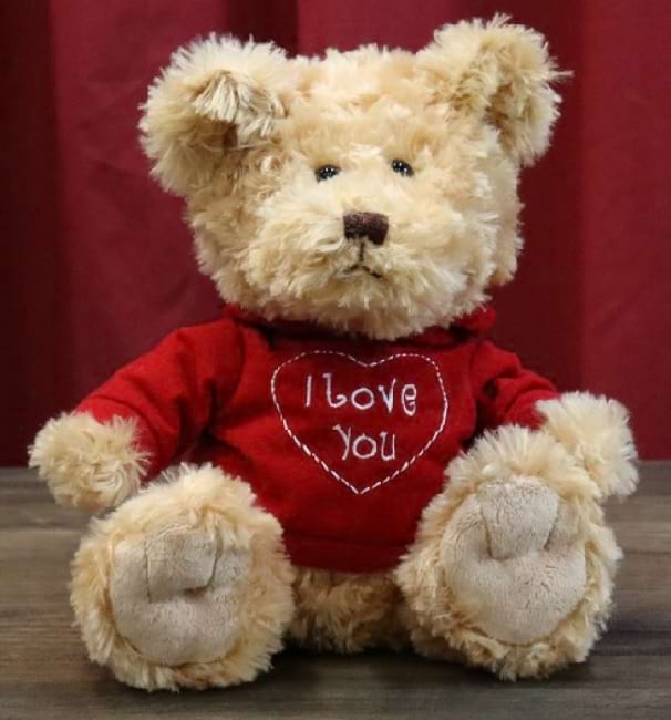I Love You Timmy Teddy Bear
